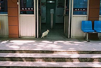 《逸剑风云决》1.20.4版本更新 新增战场倍速选项