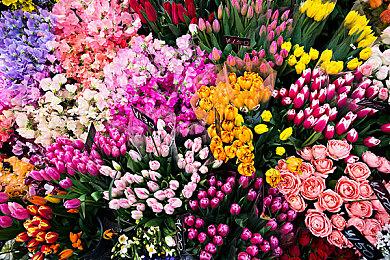 太空科幻策略游戏新作《脆弱的存在》预告片欣赏